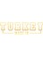 Made In Turkey Araba Sticker 17X17 cm Gold 1