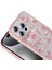 Iphone 16 Pro Max Kılıf Azra Taşlı Simli 3