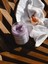 Vücut Peeling Lavander & Amethyst - Nemlendirici - Batık - Çilek Bacak Onarıcı - 212ML - % 100 Pure 4