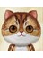 iPhone 16 Pro Uyumlu 3D Göz Golden Kedi Detaylı Gerçek Nakış İşlemeli Kabartmalı Big Eyes Kılıf 2