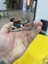 Iphone 11 Uyumlu Şeffaf Magsafe Özellikli Geç Sararma Yapan Kıılıf 3