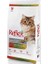 Adult Renkli Taneli Tavuklu Yetişkin Kedi Maması 15 kg 1
