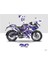 Bajaj Pulsar Rs 200 Mavi - Mor Sticker Set Kit 1