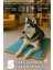 Serin (80X60CM) - 4 Mevsim Kedi/ Köpek Matı, Sıcak Veya Soğuk Kullanılabilen Minder Yatak 2