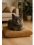 Peluş Kedi Köpek Yer Minderi (35X35) 1