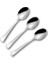 12'li Gri Metal Çay Kaşığı Seti, Şık ve Kullanışlı Tasarım 1