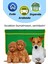 Köpek/kedi Serinletici Minder 60X40 | 2 Termo Jel ile Soğutucu Köpek/kedi Mat Yatak 6