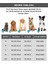 Sprit Lüks Kedi / Köpek Yatağı, Kaymaz Altlık, Sertifikalı Kumaş, Yıkanabilir, Silikon Elyaf Dolgul 2