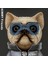 iPhone 15 Pro Uyumlu 3D Gözlük Fermuar Köpek Detaylı Nakış İşlemeli Kabartmalı Cool Cute Kılıf 2