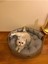 Hasır Kedi Köpek Yatağı 3