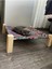 Kedi Yatağı Köpek Yatağı Evcil Hayvan Yatağı 15 kg Taşıma Kapasiteli Yıkanabilir Taşınabilir Yatak 5