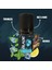 Cool Fresh Roll-On 50 ml 1