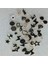 ( 30 x Adet ) 1 Set Black Enamel Everyday Model 16 Kolye Ucu & Küpe & Bileklik Aksesuarları 3