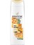 Pro-V Miracles Frizz No More Elektriklenme Karşıtı Şampuan Kuru ve Kıvırcık Saçlar İçin 325 ml 1