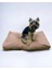 Brownie Half 022 Kedi Köpek Minderi Yatağı 2