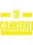 18 Çankırılı Araba Sticker 17X17 cm Sarı 1