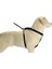 Köpek Yürüyüş Eğitim ve Düzeltme Tasması, Xl Drstr 2