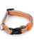 Köpek Boyun Tasması, Açık Gri Turuncu, 20-30CM Drstr 1