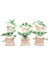 Baby Yoda Grogu The Mandalorian 6'lı Set Yıldız Savaşları Vip Serisi Özel Takım 2