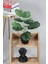 Siyah saksıda 45 cm yapay devetabanı (monstera) bitkisi, doğal görünüm, yeşil renk 2