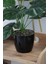 Siyah saksıda 45 cm yapay devetabanı (monstera) bitkisi, doğal görünüm, yeşil renk 3