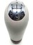 Vites Topuzu Bej 5 Ileri Megane Iii-Fluence Drstr 1