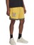 Courtside Hoops Short Erkek Basketbol Şortu 1390120-773 Sarı 1