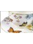 Mariposa Çay Fincan Şekerlik Set 250CC Sofra Mutfak Dekoratif 3