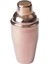Pembe 350 ml Kokteyl Shake Şişe, Şık ve Dayanıklı İçerik 1