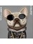 iPhone 16 Pro Uyumlu 3D Gözlük Dolar Zincir Köpek Nakış İşlemeli Kabartmalı Cool Glasses Kılıf 2