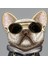 iPhone 16 Uyumlu 3D Gözlük Dolar Zincir Köpek Detaylı Nakış İşlemeli Kabartmalı Cool Glasses Kılıf 2