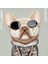 iPhone 15 Pro Uyumlu 3D Gözlük Dolar Zincir Köpek Nakış İşlemeli Kabartmalı Cool Glasses Kılıf 2