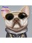 iPhone 15 Uyumlu 3D Gözlük Dolar Zincir Köpek Detaylı Nakış İşlemeli Kabartmalı Cool Glasses Kılıf 2