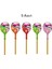 Bubbly Sakızlı Lolipop (5 Adet) 1