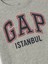 Erkek Bebek Gri babyGap logo tshirt 2