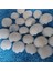 Renkli Deniz Kabukları, Akvaryum ve Teraryum Süsleri, 1,5-2,5cm, 150gr 1