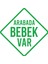 Arabada Bebek Var Sticker 17X17 cm Yeşil 1