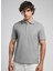 Gri Erkek Polo T-Shirt 252 Lcm 242016 Rasco Gri 2