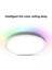 12 Inç 28W Rgb+3cct LED Tavan Işık 85V-265V 3000K/4000K/6500K Üç Tonlu Işık Yatak Odası Çalışma Balkon Tavan Işık (Yurt Dışından) 5