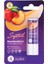 Lip Balm Nemlendirici Dudak Bakım Kremi Şeftali Spf 20 5 gr 2