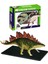 Vision Anatomi Modeli - Stegosaurus Dinozor 2
