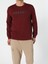 Regular Fit Erkek Kahverengi Sweatshirt 1