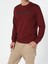 Regular Fit Erkek Kahverengi Sweatshirt 3