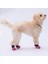 Rosea Camouflage Desenli Köpek Ayakkabısı-Köpek Patiği 4