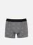 Modern Fit Erkek Gri Boxer 2
