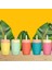 Strawbuddy Tumbler | 360 ml 4