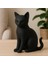 Modern Siyah Kedi Figürü – Dekoratif Şık Tasarım Objesi 1