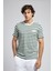 Eddy Erkek %100 Pamuk O Yaka T-Shirt Ekru-Zümrüt Çizgili 3