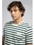 Eddy Erkek %100 Pamuk O Yaka T-Shirt Ekru-Zümrüt Çizgili 4