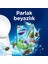 Wc Blok 5'li Güç Çam Ferahlığı 50 gr 4